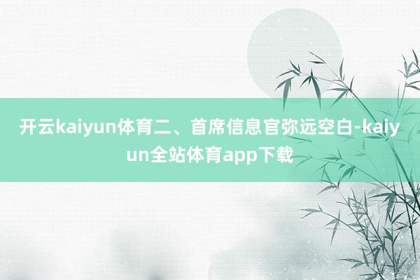 开云kaiyun体育二、首席信息官弥远空白-kaiyun全站体育app下载