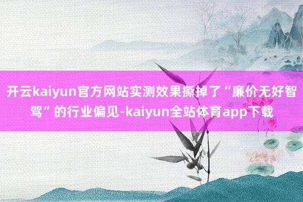 开云kaiyun官方网站实测效果撕掉了“廉价无好智驾”的行业偏见-kaiyun全站体育app下载