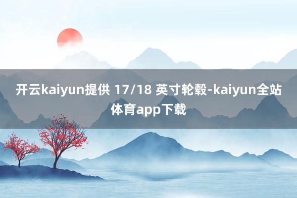 开云kaiyun提供 17/18 英寸轮毂-kaiyun全站体育app下载
