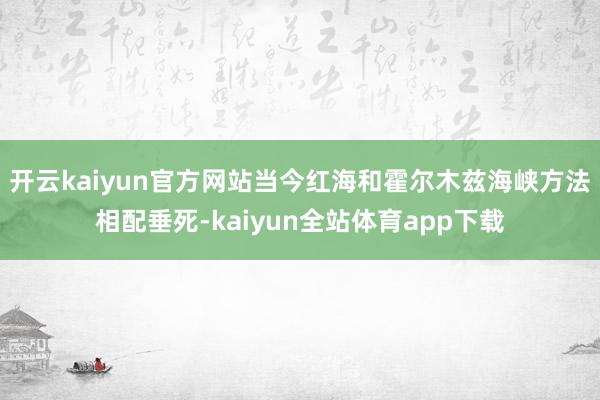 开云kaiyun官方网站当今红海和霍尔木兹海峡方法相配垂死-kaiyun全站体育app下载