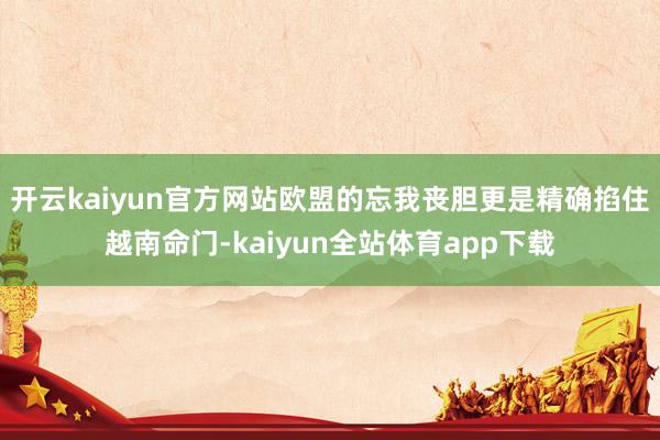 开云kaiyun官方网站欧盟的忘我丧胆更是精确掐住越南命门-kaiyun全站体育app下载