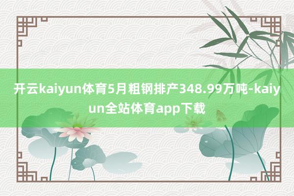 开云kaiyun体育5月粗钢排产348.99万吨-kaiyun全站体育app下载